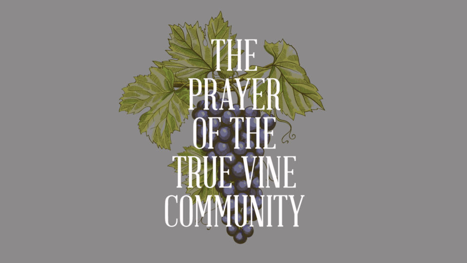 The Prayer of the True Vine Community Image