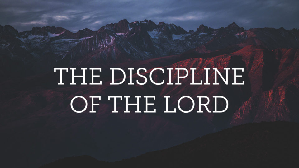 The Discipline of the Lord Image